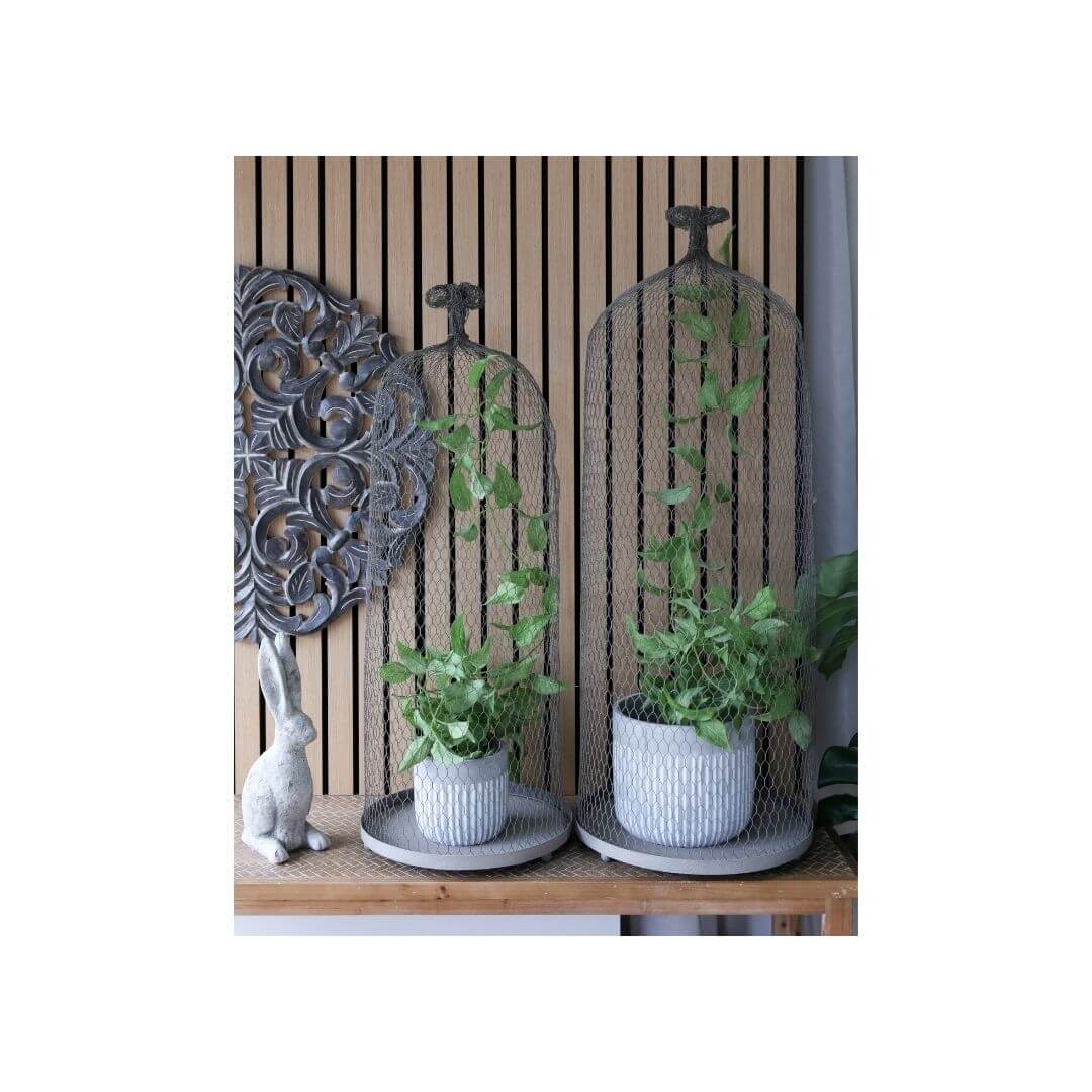 Garden - Cloche TALL