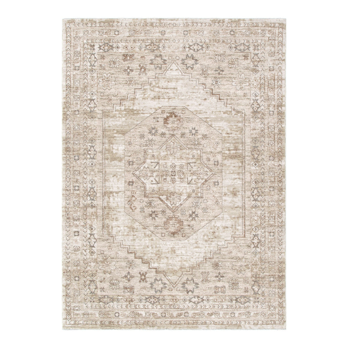 D101- Delphine Sahara Medallion Vintage Rug