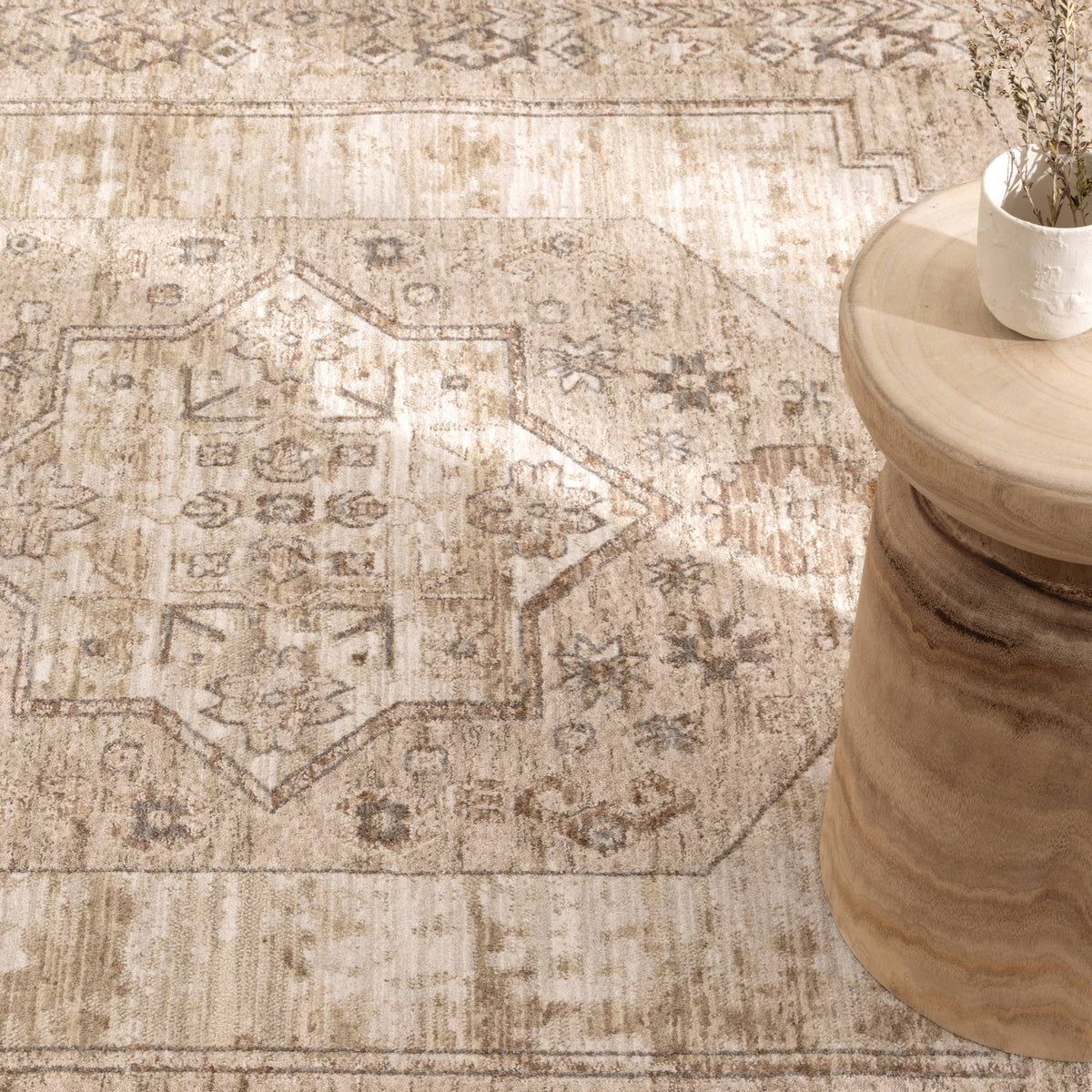 D101- Delphine Sahara Medallion Vintage Rug