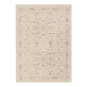 D103- Delphine Warm Biscotti Vintage Beige Rug