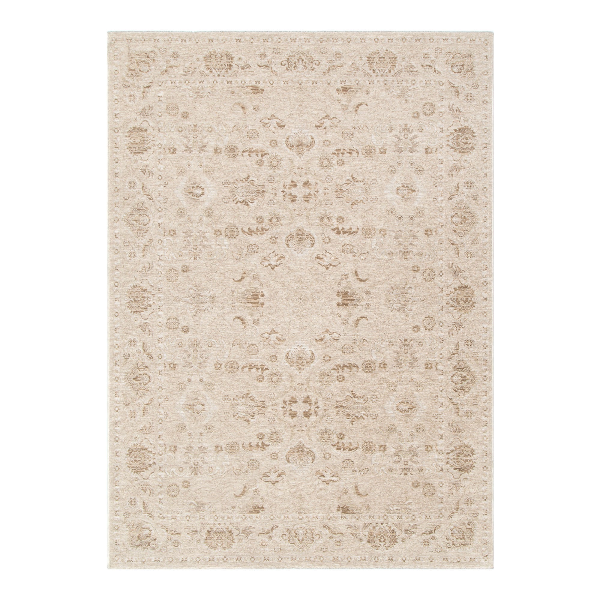 D103- Delphine Warm Biscotti Vintage Beige Rug