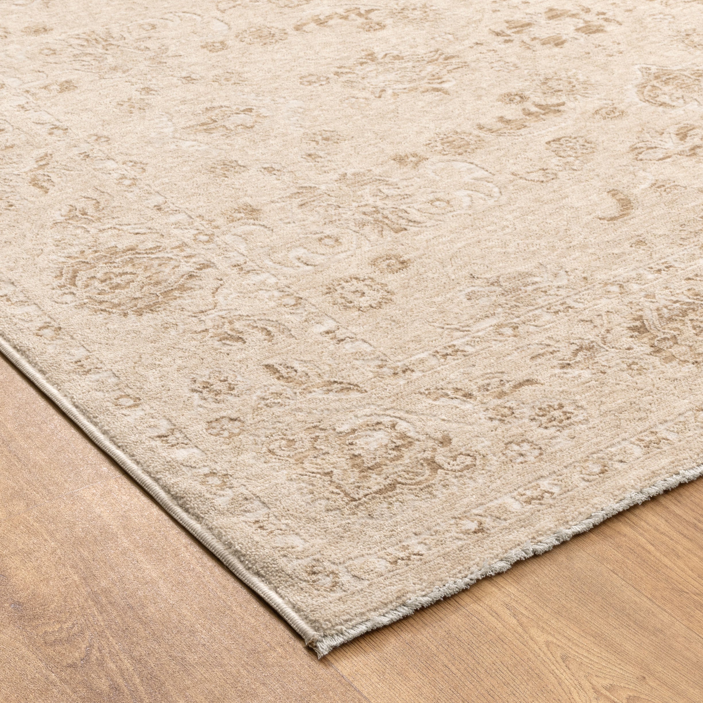 D103- Delphine Warm Biscotti Vintage Beige Rug