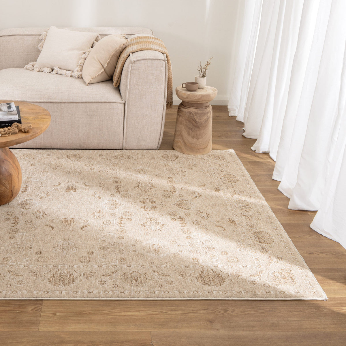 D103- Delphine Warm Biscotti Vintage Beige Rug