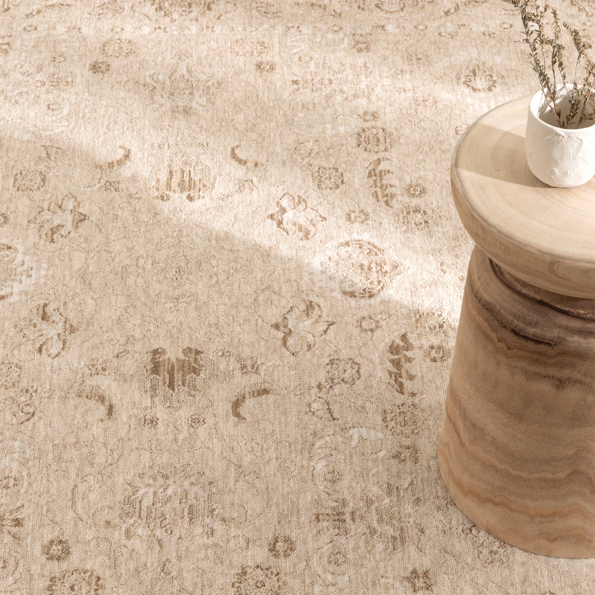 D103- Delphine Warm Biscotti Vintage Beige Rug