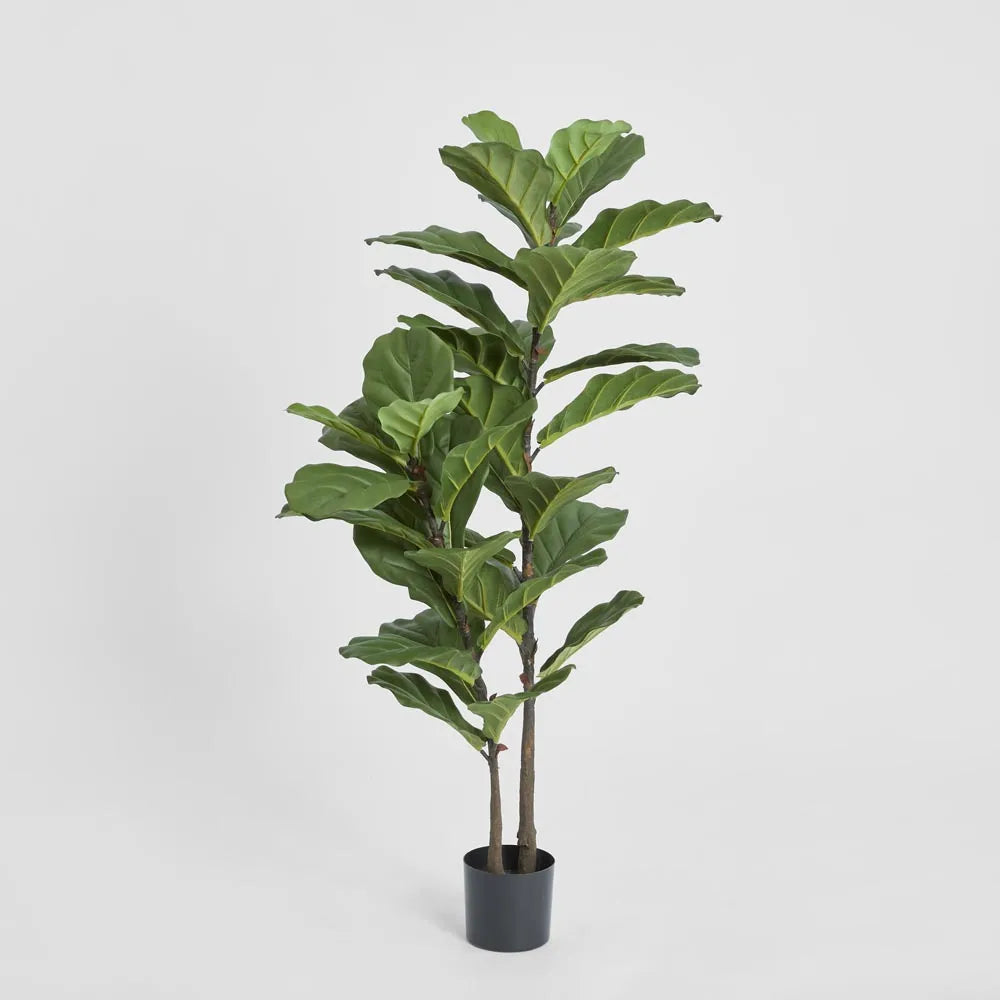 Fiddle- Leaf Faux Plant