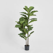 Fiddle- Leaf Faux Plant
