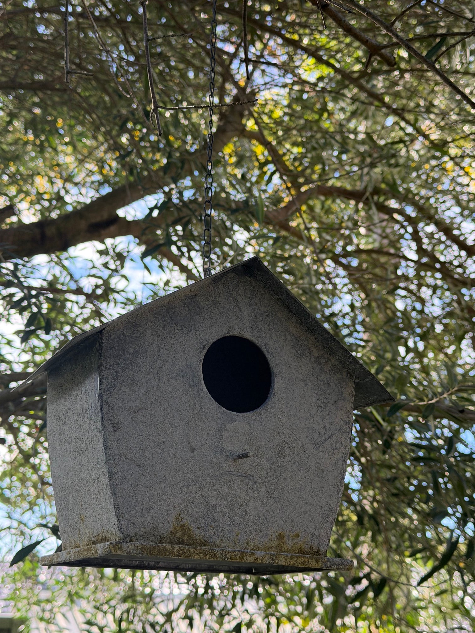 Bird House - Hanging Moss Zinc