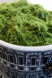 Green Moss - Faux