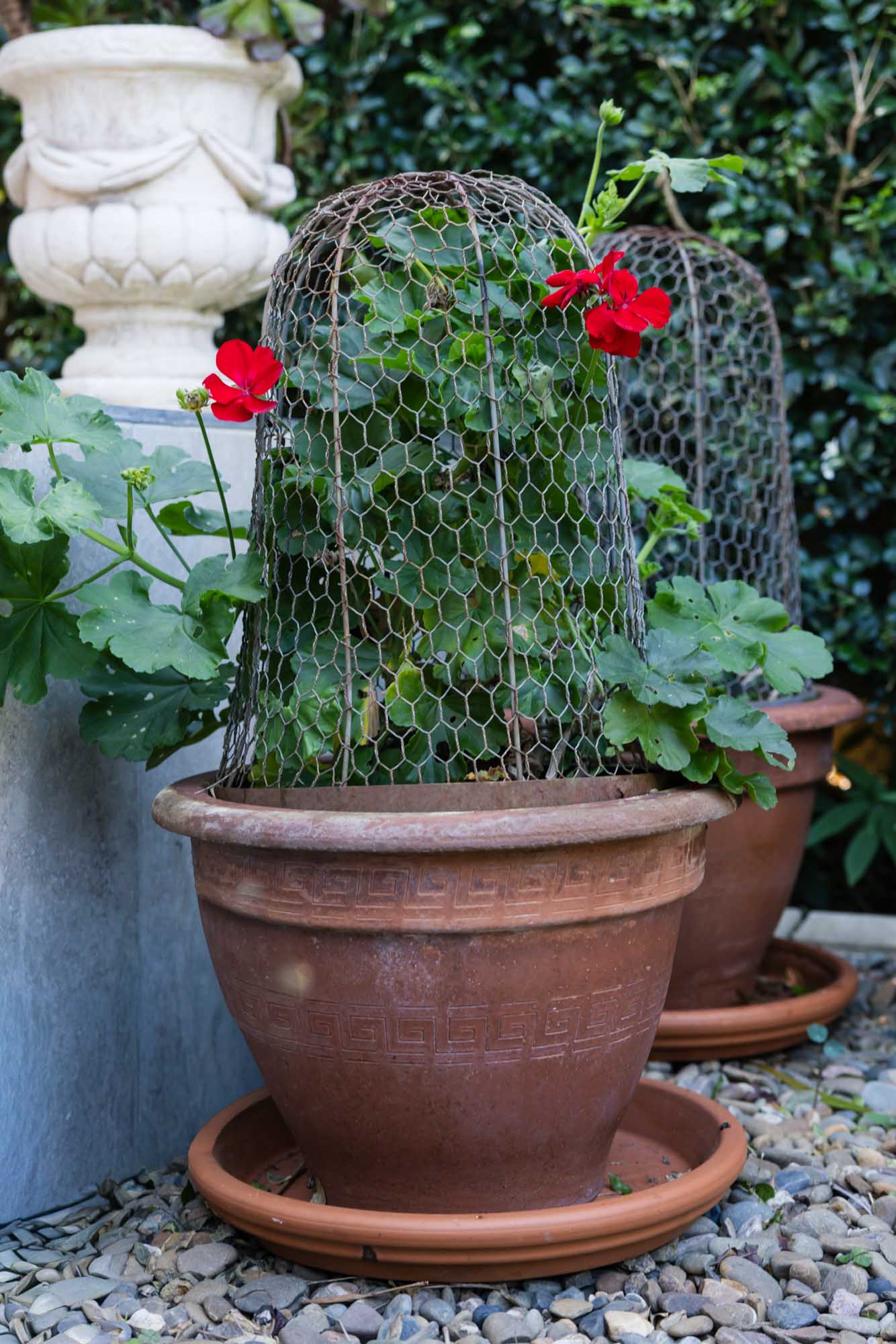 Garden - Cloche Round