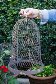 Garden - Cloche Round